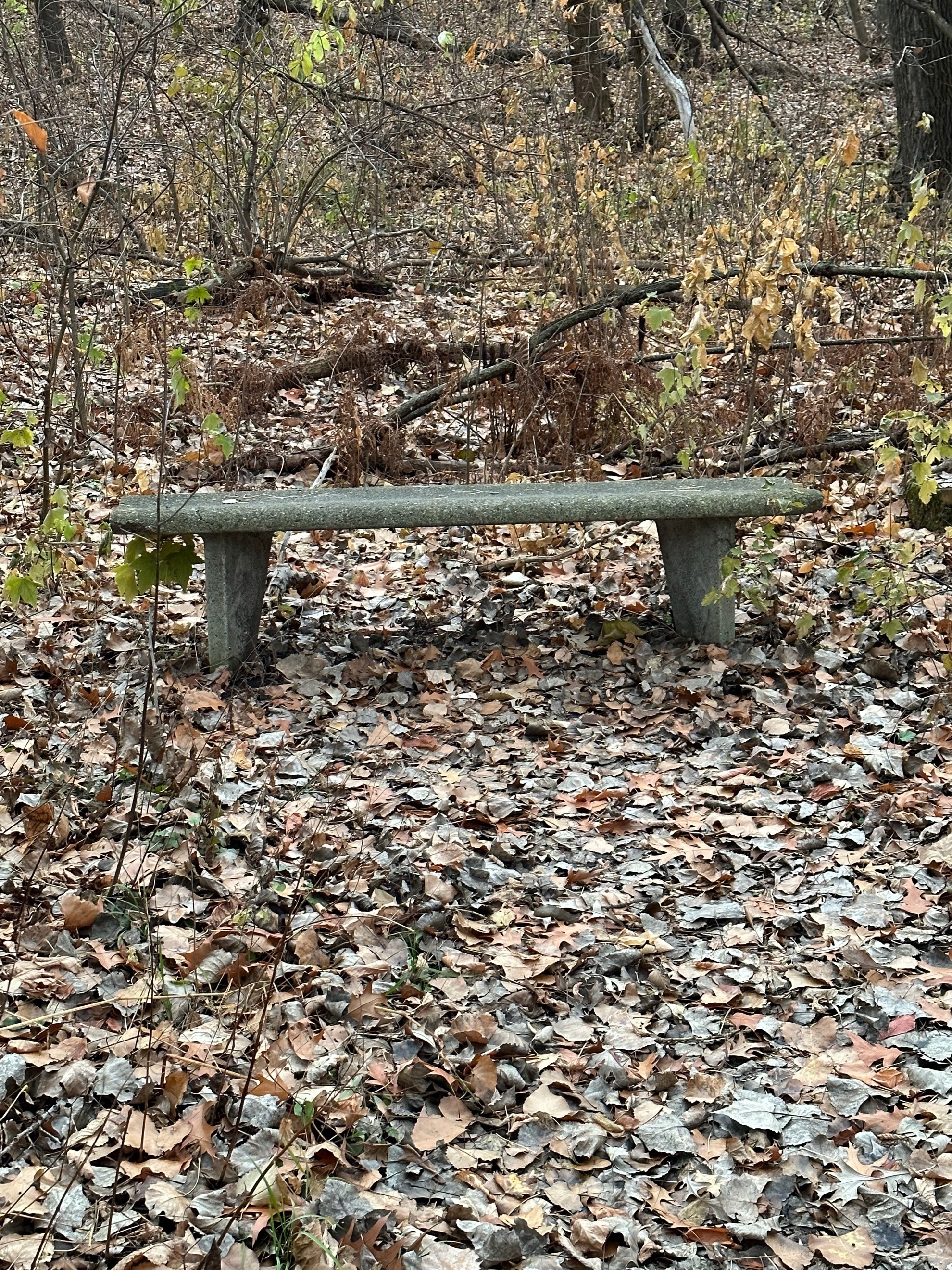 bench