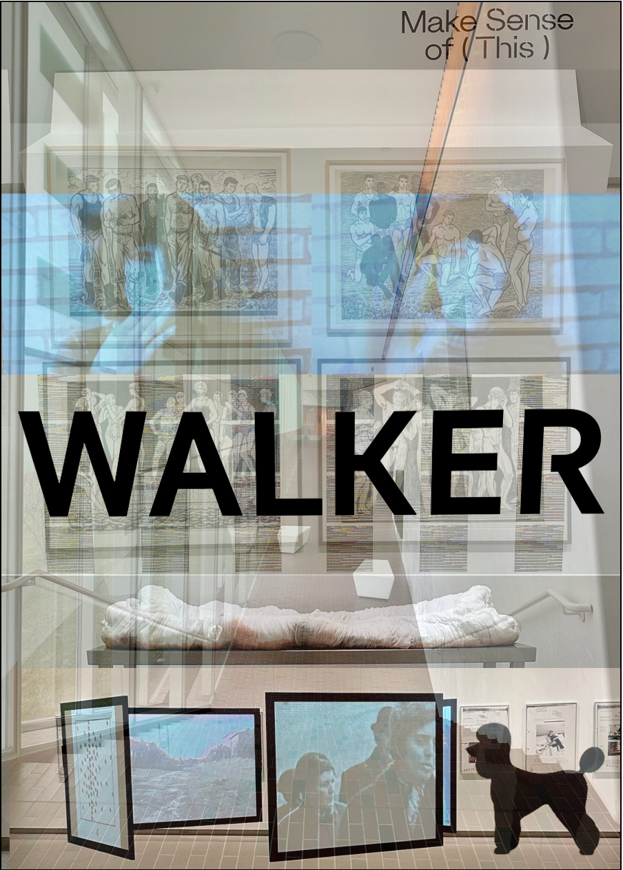 7 Walker
