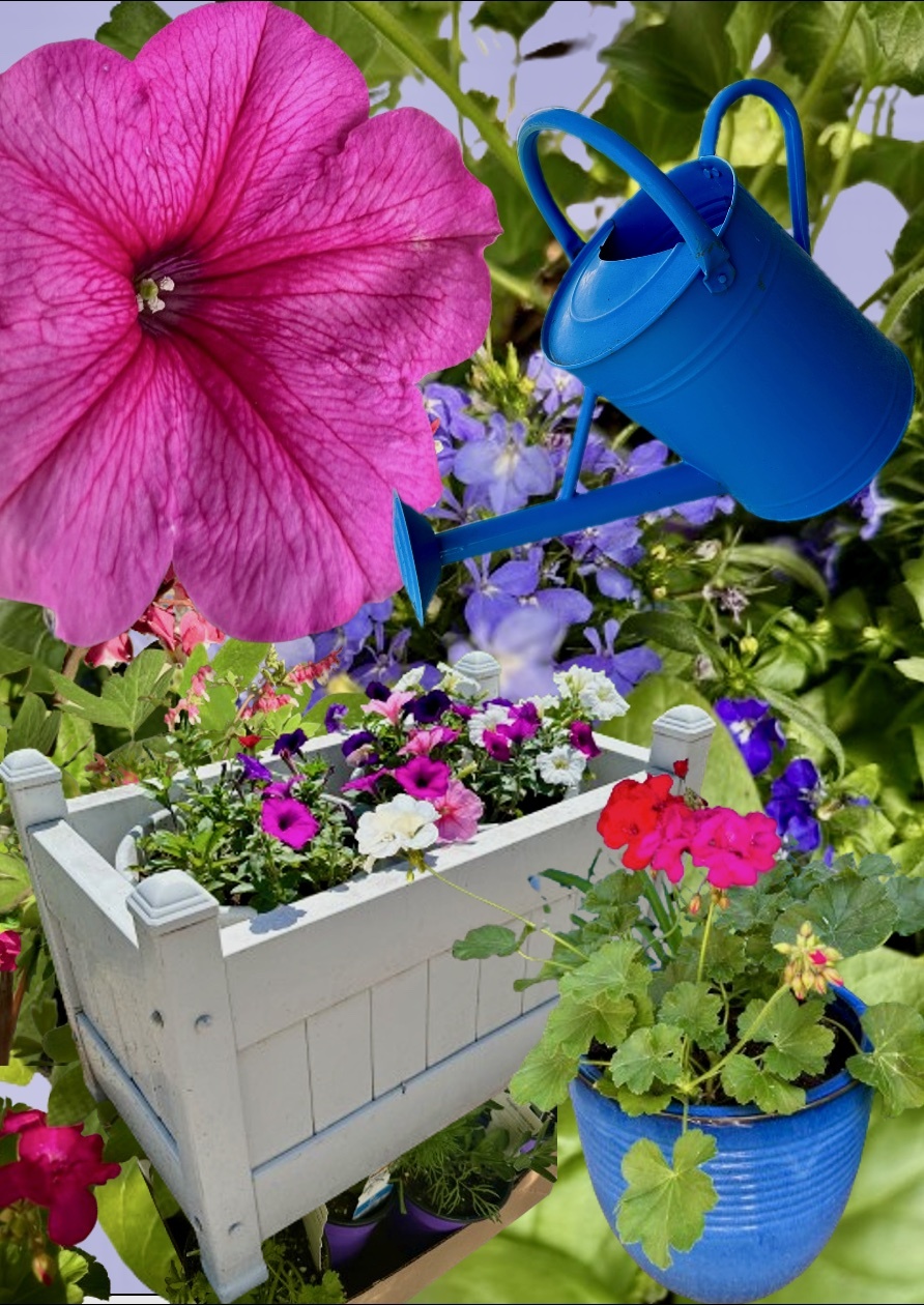 19 Garden