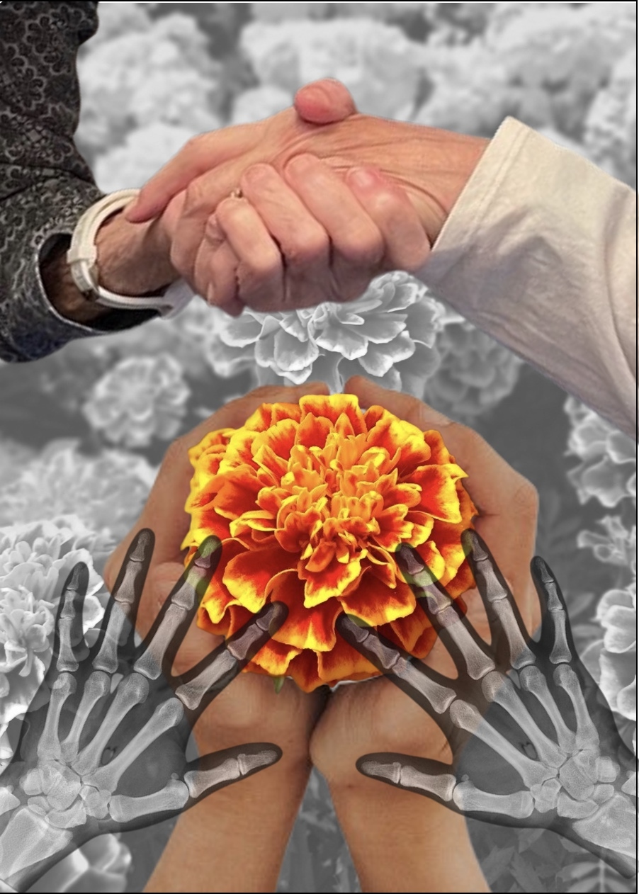 44 Hands 44 Hands