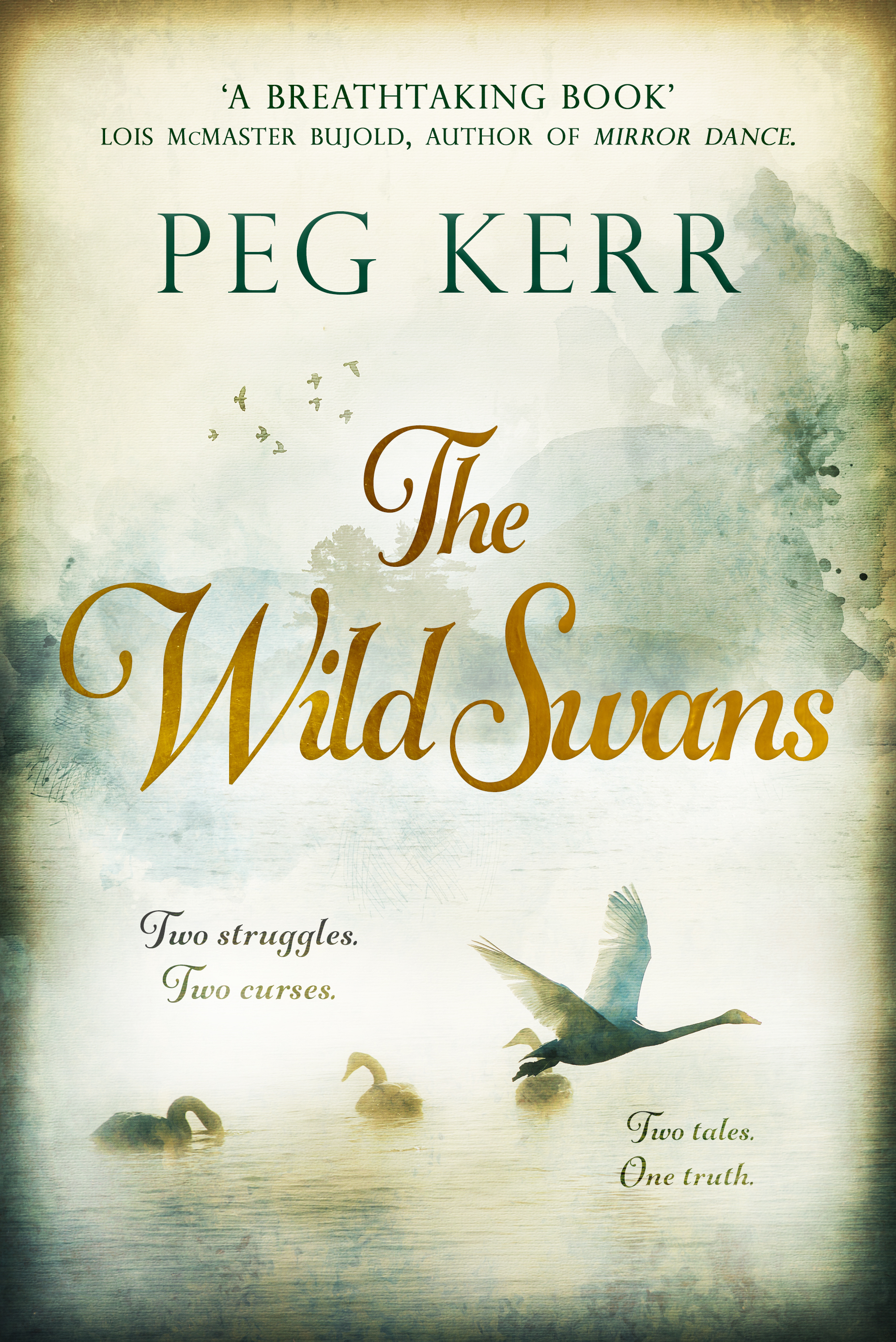 Book cover for The Wild Swans