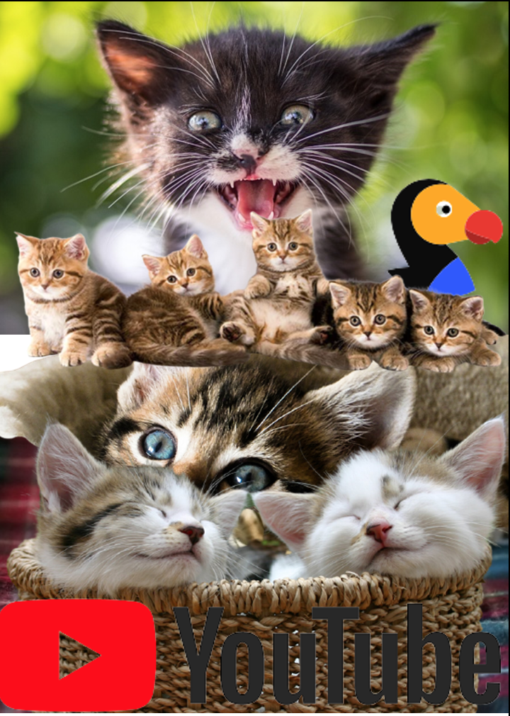 Kittens Adorable kittens are adorable