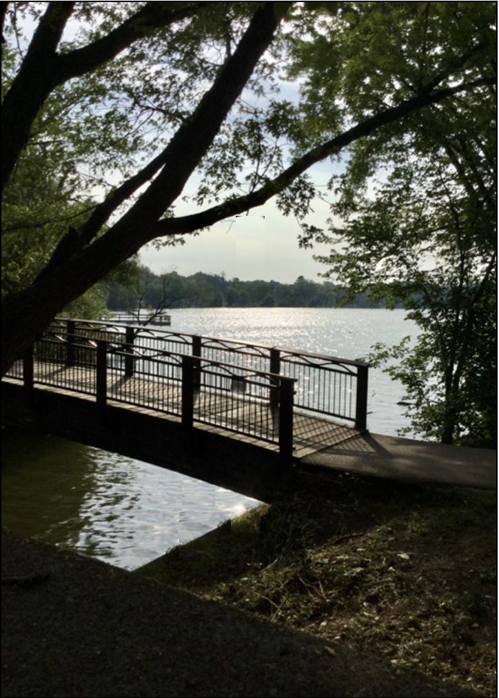 33 Nokomis